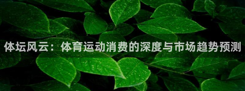 飞速体育app下载：体坛风云：体育运动消费的深度与市场趋势预测
