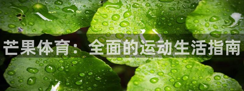 飞速体育网店：芒果体育：全面的运动生活指南