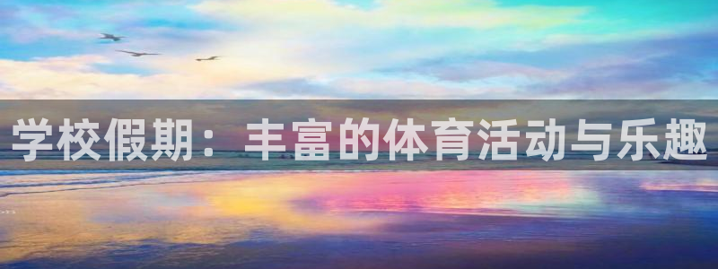 飞速体育网店是正品吗：学校假期：丰富的体育活动与乐趣