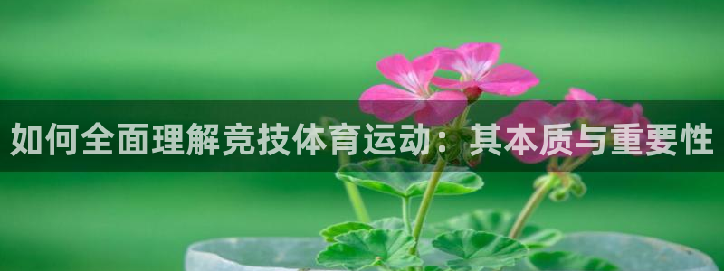 飞速体育nba：如何全面理解竞技体育运动：其本质与重要性