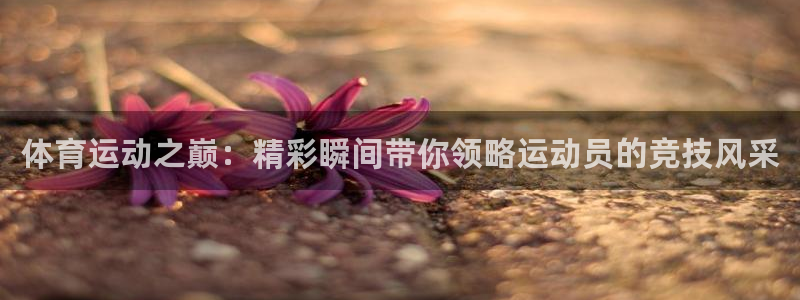 飞速体育极速直播在哪看：体育运动之巅：精彩瞬间带你领略运动员的竞技风采