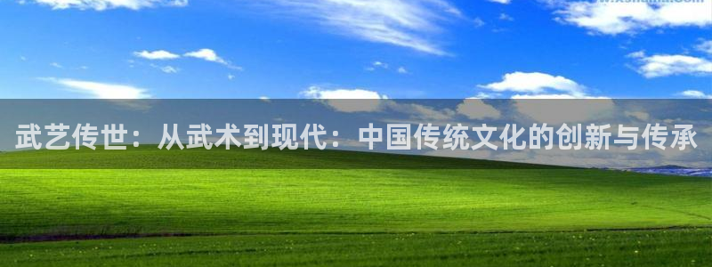 飞速体育app免费下载：武艺传世：从武术到现代：中国传统文化的创新与传承