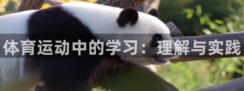 飞速体育极速直播：体育运动中的学习：理解与实践