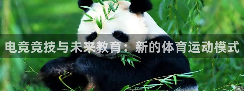 飞速体育极速直播在哪看：电竞竞技与未来教育：新的体育运动模式
