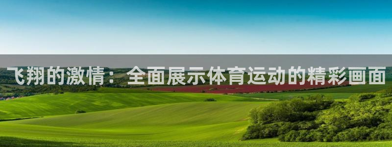 飞速体育网店直播：飞翔的激情：全面展示体育运动的精彩画面